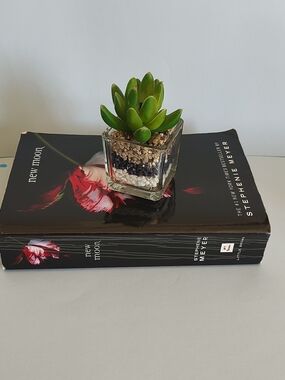The Twilight Saga New Moon by Stephenie Meyer 2008 Trade Paperback) Good Cond.